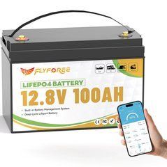 Акумулятор FLYFOREE LiFePO4 12V/100AH (1280W*h), Smart BMS, Bluetooth APP, (літій-залізо-фосфатний акумулятор для ДБЖ (UPS))