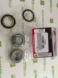ALLBALLS 22-1039 - Комплект підшипників рульової колонки APRILIA ETV, RST, RSV, SL, TUONO; DUCATI 1098, 1198, 748, 749, 848, 888, 916, 996, 998, 999, BIPOSTO, DIAVEL, GT 400-1700 1981-2020