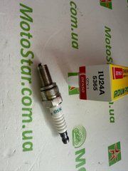 DS 5365 / IU24A Свічка запалювання APRILIA ATLANTIC, ETV, MXV, RXV, SCARABEO, SL, SMV, SPORTCITY, SR 125-1200 2003-2020